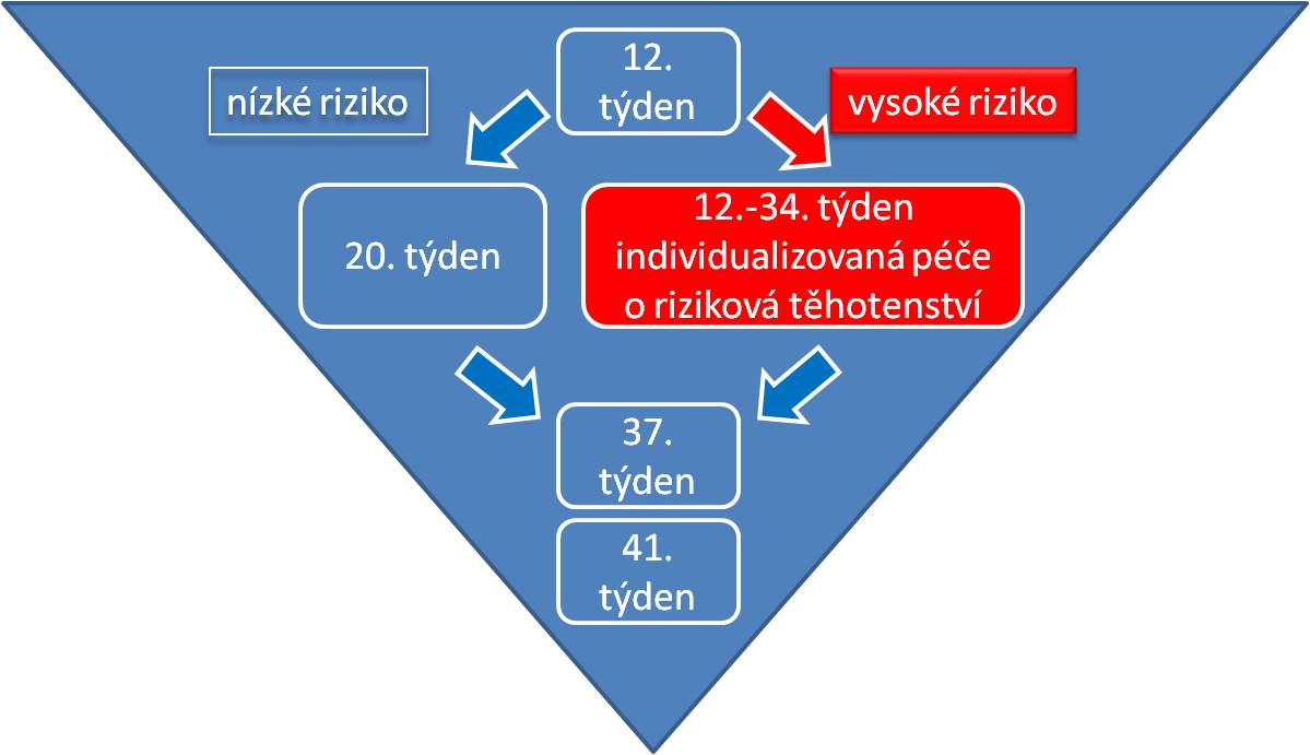 pyramida prenatální péče - budoucnost