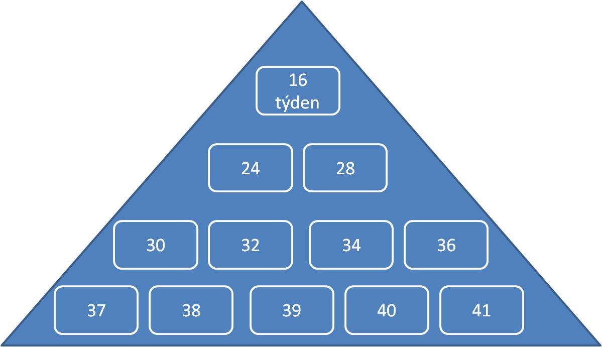 pyramida prenatální péče - minulost